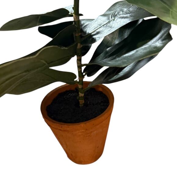 POTTERY BARN Small Faux Fiddle Leaf Fig Tree - Picture 3 of 9
